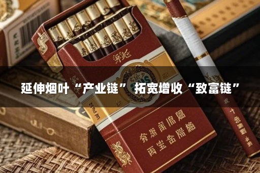 延伸烟叶“产业链” 拓宽增收“致富链”